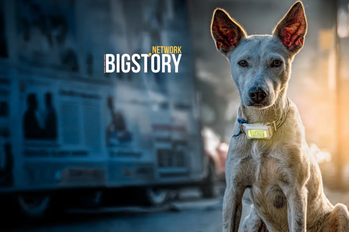 SC Summons States in Stray Dog Case: Is India’s Governance Failing?