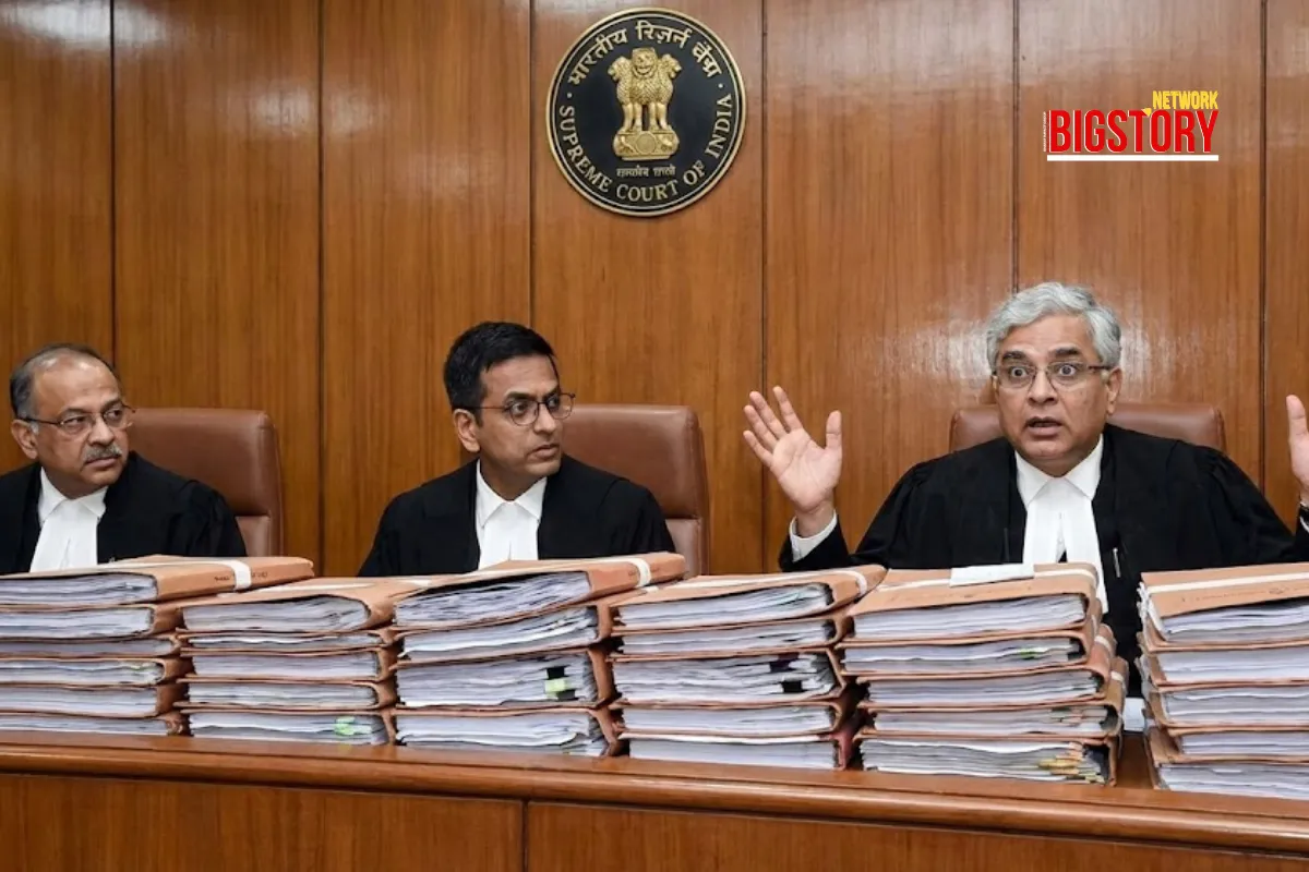 The 277% Spike: Why Delhi’s Dog Bite Crisis Landed in the Supreme Court